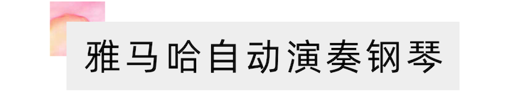 活动报道 | 远程艺术教育大师课活动——凯发k8国际特邀艺术家张奕明大师课