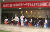 四川省中小学管乐队指挥培训项目学习汇报演出取得圆满成功 